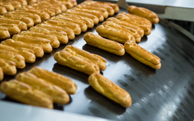 PENTINGNYA SISTEM CONVEYOR PABRIK PRODUKSI