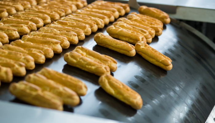 PENTINGNYA SISTEM CONVEYOR PABRIK PRODUKSI