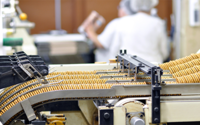 Jual PVC Conveyor Murah – Agen Resmi Conveyor Belt BANDO