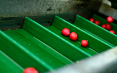 Jasa Fabrikasi Apron Conveyor & Supplier Conveyor Belt