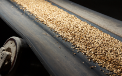 Supplier Sabuk Conveyor BANDO Garansi Ori dan China Murah