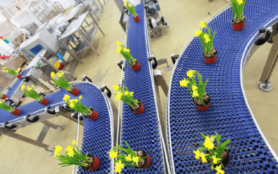 Fungsi Conveyor Pada Industri – Pabrik Konveyor