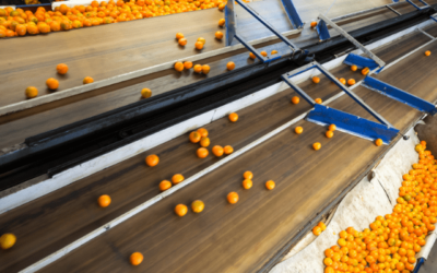 Jual Konveyor Sabuk untuk Pabrik dan Tambang