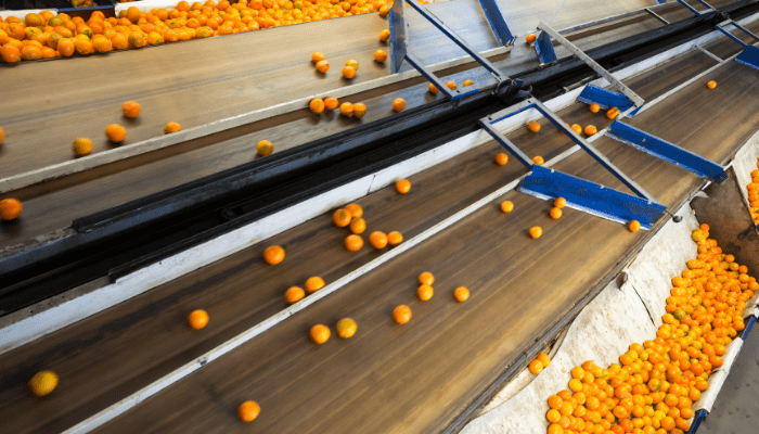 Jual Konveyor Sabuk untuk Pabrik dan Tambang