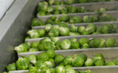 Jual Apron Conveyor dan Jasa Fabrikasi Spareparts Conveyornya