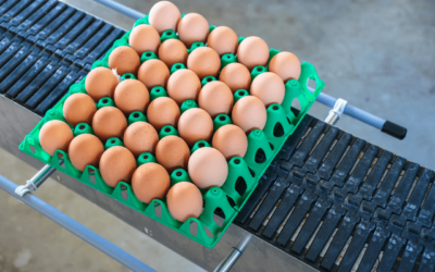 Jasa Perancangan Conveyor Rantai atau Chain Conveyor