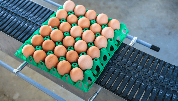 Jasa Perancangan Conveyor Rantai atau Chain Conveyor