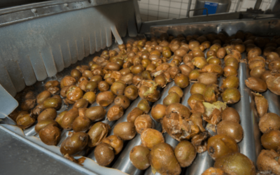 Daftar Ukuran Roller Conveyor untuk Conveyor Barang